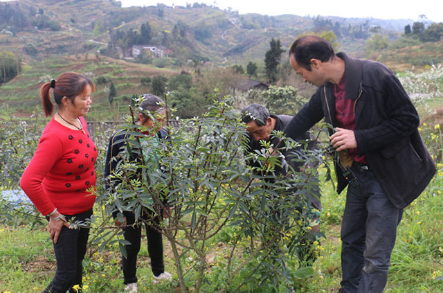 天鷹兄弟植保無人機(jī)