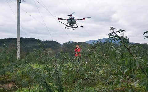 植保無人機(jī)助力花椒生產(chǎn)節(jié)本增效