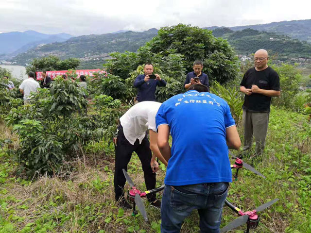 天鷹兄弟植保無人機(jī)其作業(yè)效率高、噴灑效果好深受農(nóng)戶認(rèn)可。