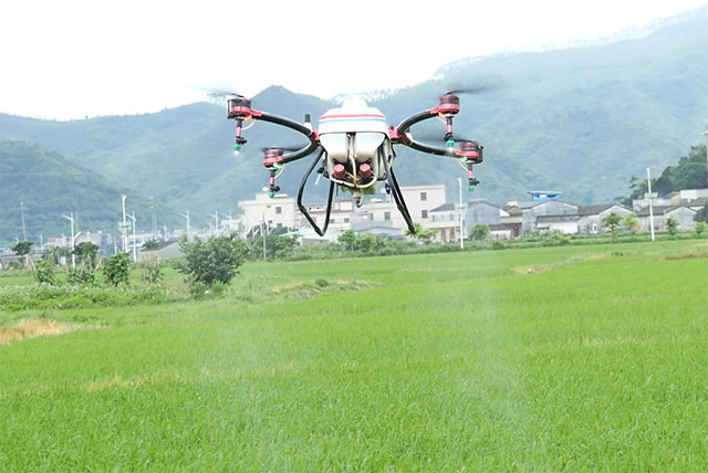 青蔥的稻田上，天鷹兄弟植保無人機(jī)展翅盤旋