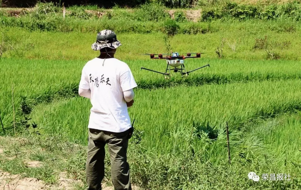 "榮昌造"無人機(jī)赴巴南植保作業(yè)