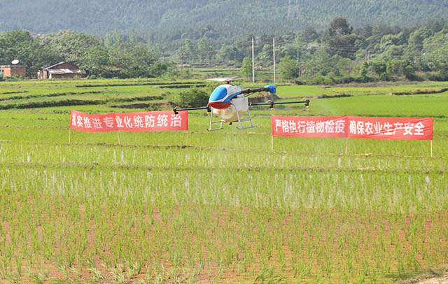 植保無人機在作業(yè)上與傳統(tǒng)人工噴霧器相比具有高效、節(jié)藥、安全、便利等優(yōu)勢