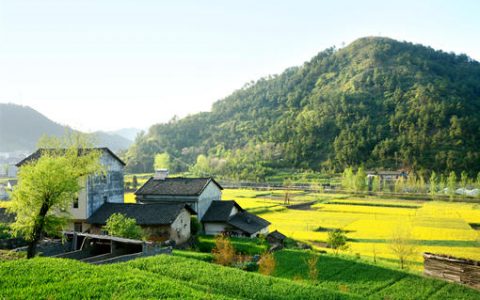 「植保無人機(jī)」農(nóng)業(yè)植保無人機(jī)駕駛員真的月入10萬？