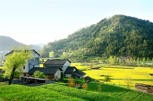 「植保無人機」農(nóng)業(yè)植保無人機駕駛員真的月入10萬？