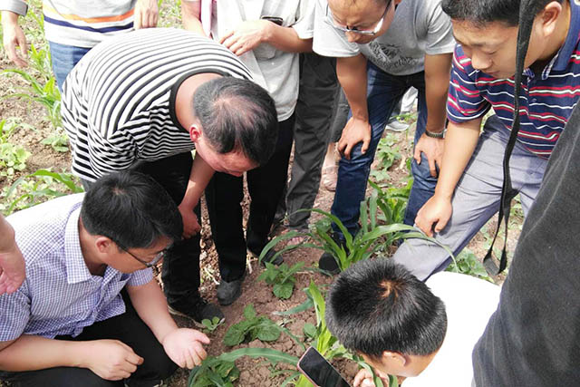 植保無人機(jī)在農(nóng)業(yè)生產(chǎn)中具有明顯的優(yōu)勢