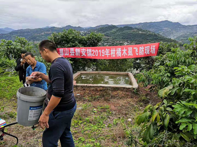 柑橘木虱的“克星”——植保無人機(jī)