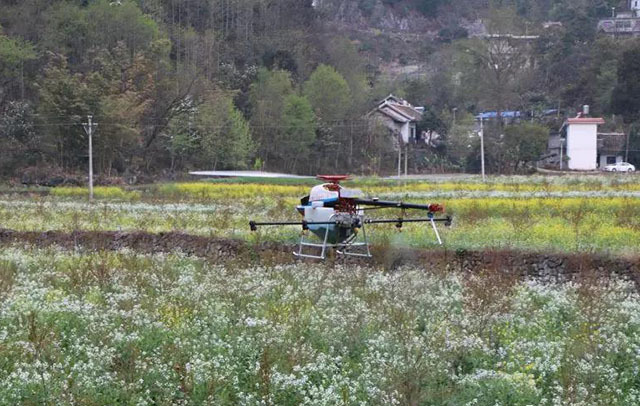 盤州市：植保無人機為軟籽石榴施肥施藥 