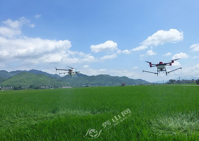 秀山縣開展無人機(jī)水稻病蟲施藥