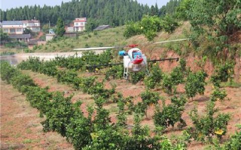 植保無人機榮昌柑橘用植保無人機施肥