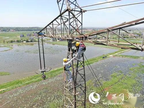 無人機安全-湖南電力處置無人機撞擊高壓線路隱患