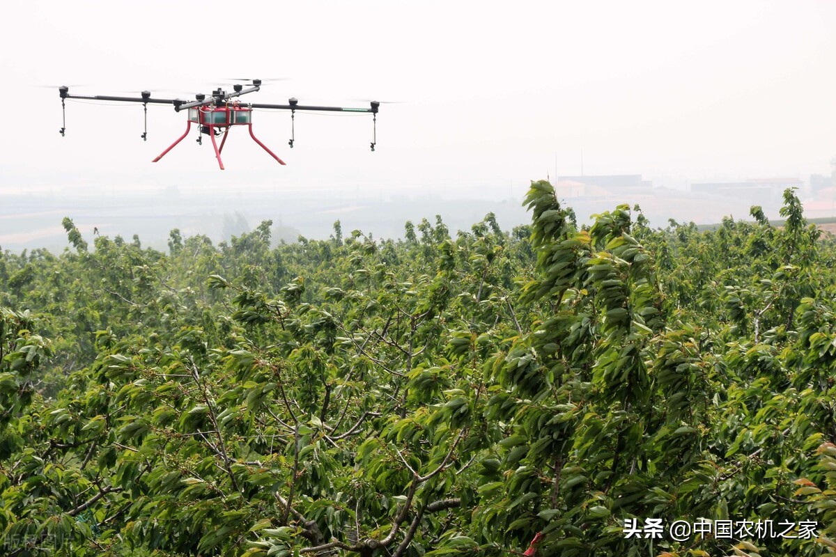 無人飛機在果園植保中的技術(shù)路線越來越成熟