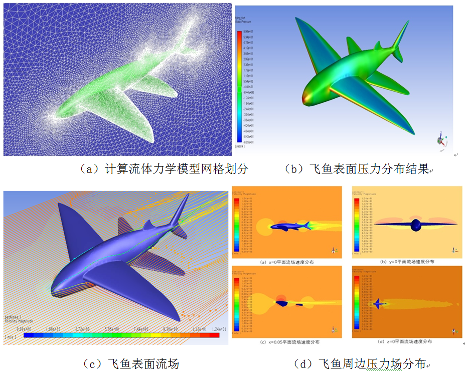 同濟(jì)大學(xué)師生模仿飛魚，研制出新型無人機(jī)，抗失速能力優(yōu)越