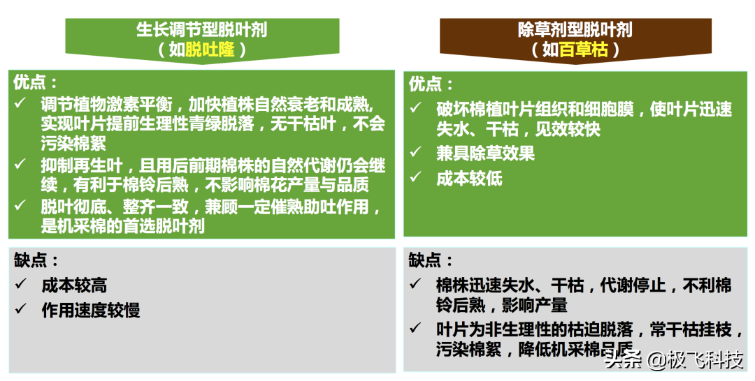 提高脫葉效果的 5 個(gè)施藥要點(diǎn)