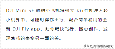 海鳥窩租賃上新無人機(jī)：DJI Mini SE 更小更輕，想飛就飛