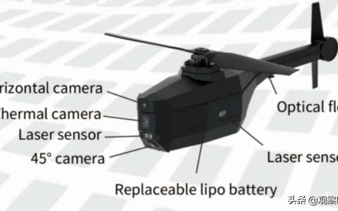 中國(guó)“蜂鳥(niǎo)”小型無(wú)人偵察機(jī)，只有17厘米長(zhǎng)，重35克