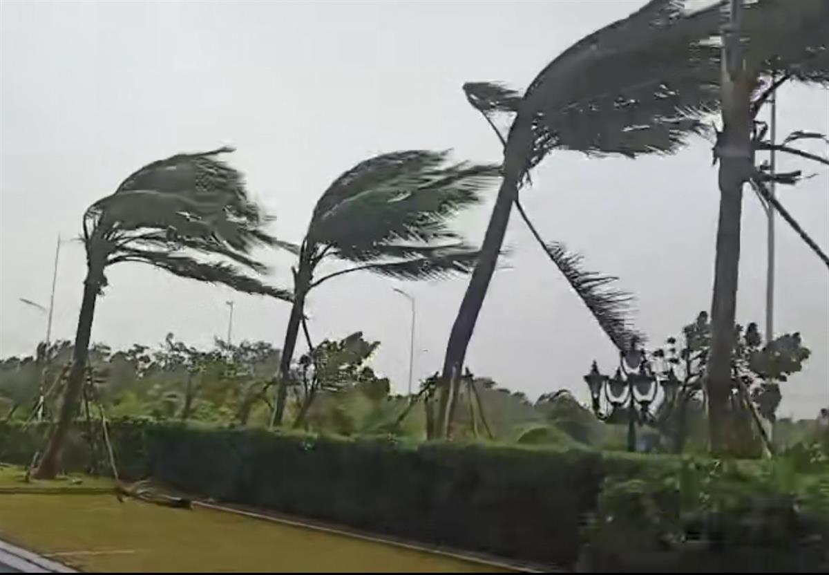 臺風“圓規(guī)”登陸海南瓊海，多地海水倒灌，倒伏樹木超3000棵