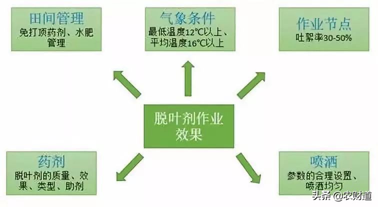 植保無人機(jī)棉花脫葉劑作業(yè)技術(shù)指南