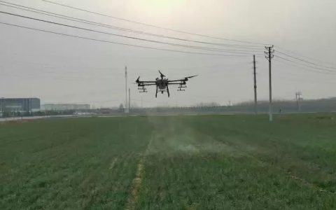 無人機能打小麥除草劑嗎（無人機噴灑小麥除草劑六個必看問題）