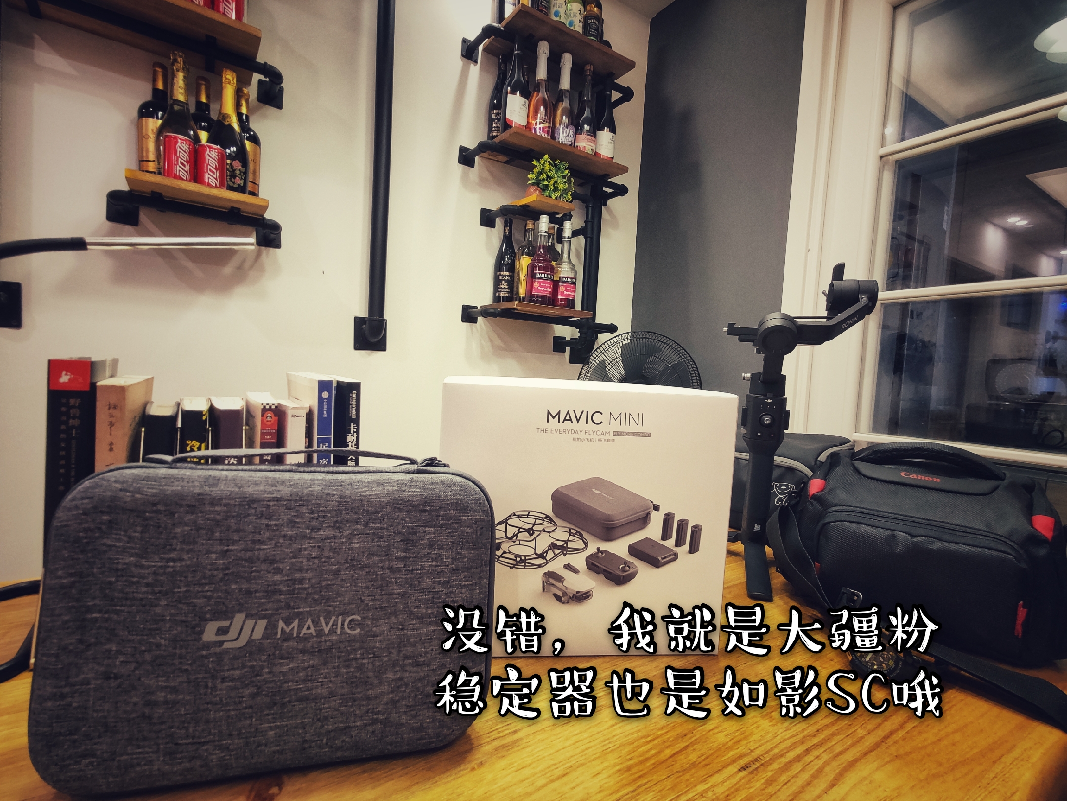 我的航拍小助手 | 大疆MAVIC MINI 實(shí)用小手冊(cè) #我眼中的春天#