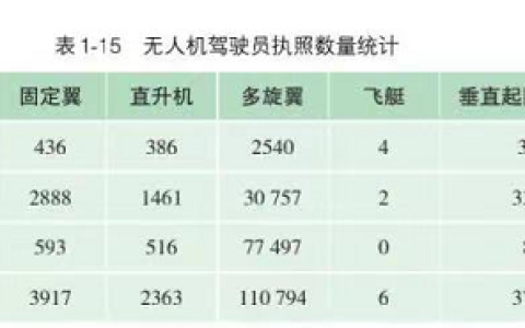 2022無(wú)人機(jī)駕駛員執(zhí)照數(shù)量(這類(lèi)無(wú)人機(jī)執(zhí)照存在大量缺口)