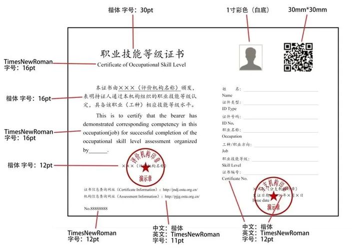 【技能證書】職業(yè)技能等級證書怎么獲得？哪里查詢？