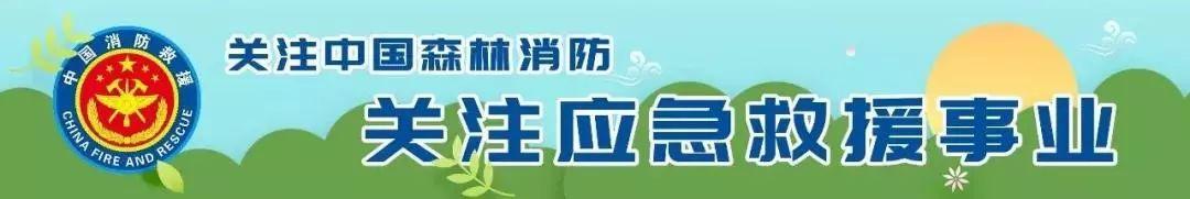 吉林市森林消防無人機訓練 | 立足任務實際 從嚴從難錘煉打贏能力